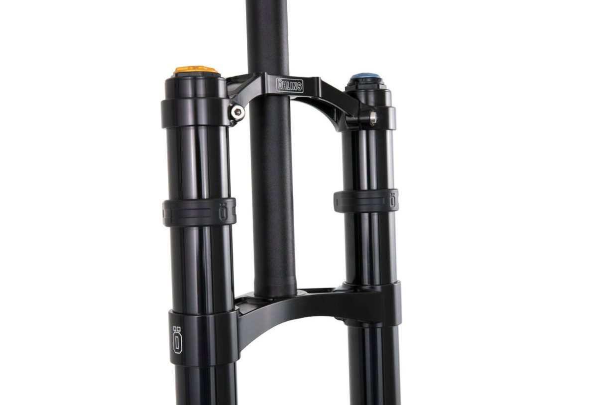 Ohlins dh shop forks